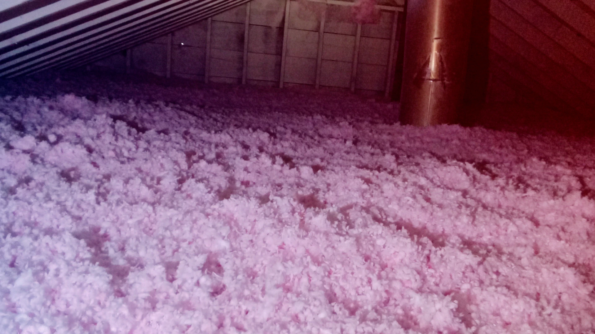 high quality foam insulation services